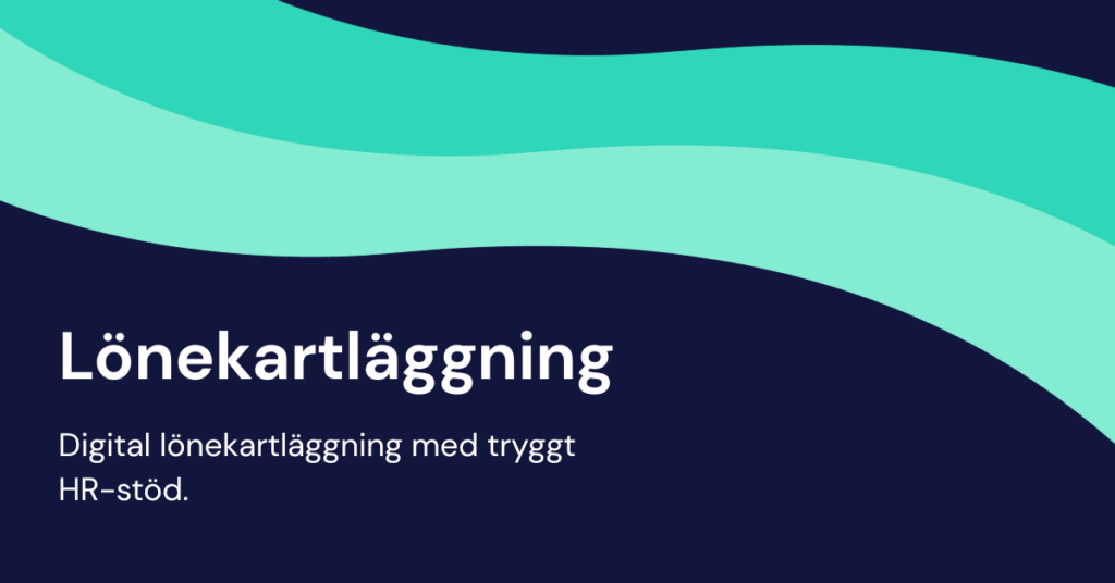 lönekartläggning